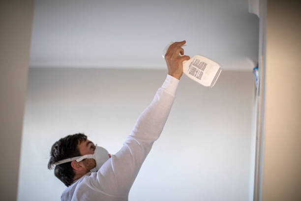 Best Localized Mold Remediation (e.g., coastal areas, humid climates) in Beloit, KS
